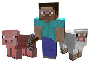 Steve